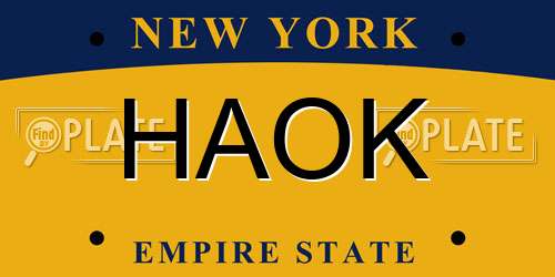 HAOK New York License Plate