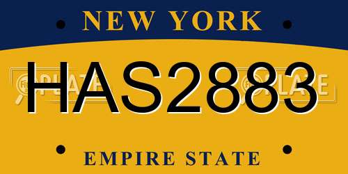 HAS2883 New York License Plate