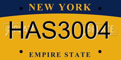 HAS3004 New York License Plate