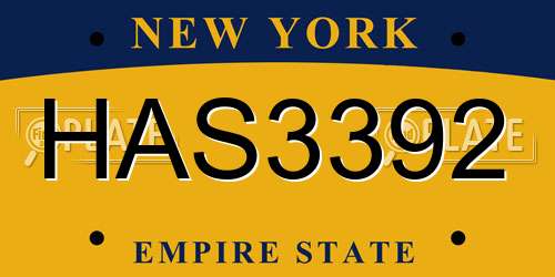 HAS3392 New York License Plate