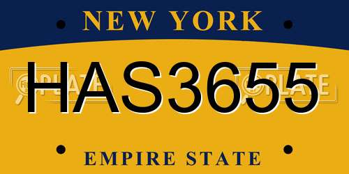 HAS3655 New York License Plate
