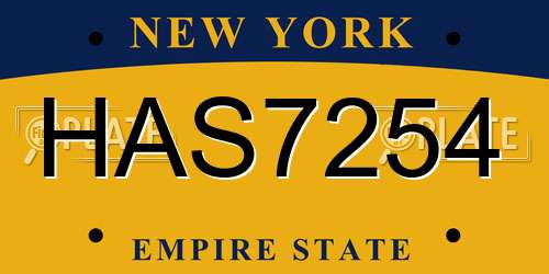 HAS7254 New York License Plate