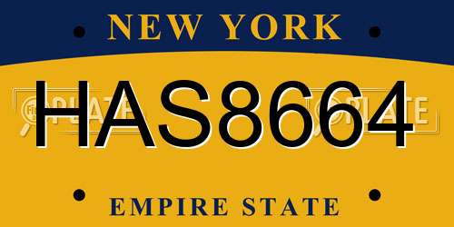 HAS8664 New York License Plate