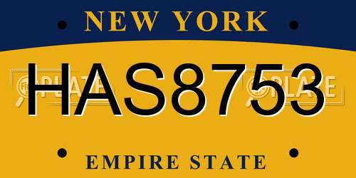 HAS8753 New York License Plate