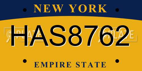 HAS8762 New York License Plate