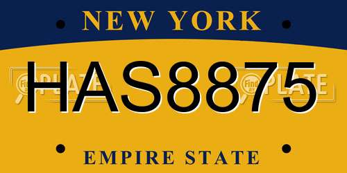 HAS8875 New York License Plate