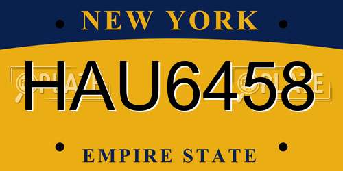 HAU6458 New York License Plate