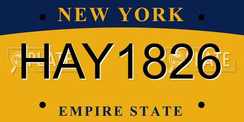 HAY1826 New York License Plate