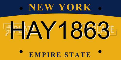 HAY1863 New York License Plate