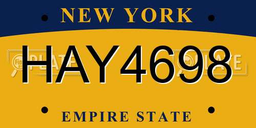 HAY4698 New York License Plate