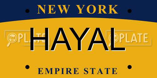 HAYAL New York License Plate