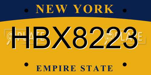 HBX8223 New York License Plate