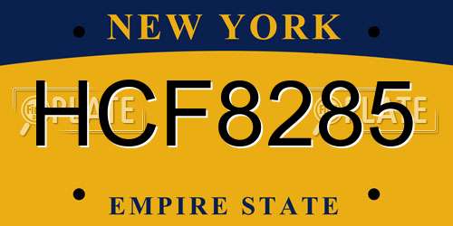 HCF8285 New York License Plate