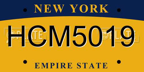 HCM5019 New York License Plate