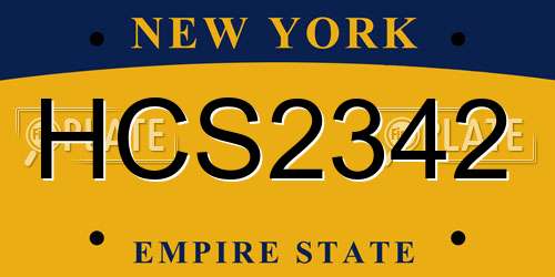 HCS2342 New York License Plate