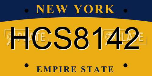 HCS8142 New York License Plate