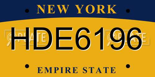 HDE6196 New York License Plate