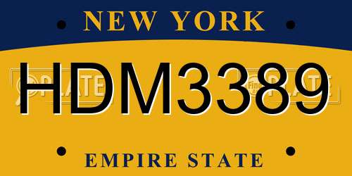 HDM3389 New York License Plate