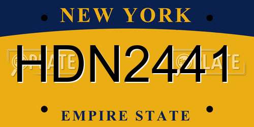 HDN2441 New York License Plate