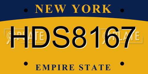 HDS8167 New York License Plate