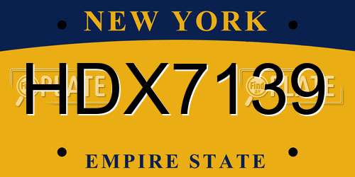 HDX7139 New York License Plate