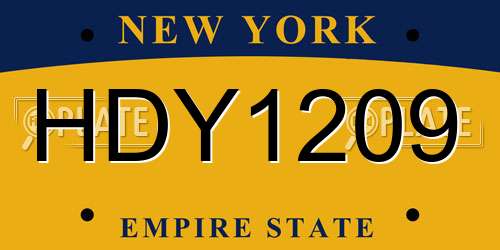 HDY1209 New York License Plate