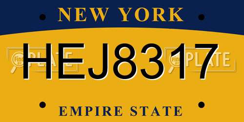 HEJ8317 New York License Plate