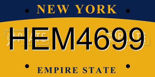 HEM4699 New York License Plate