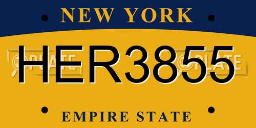 HER3855 New York License Plate