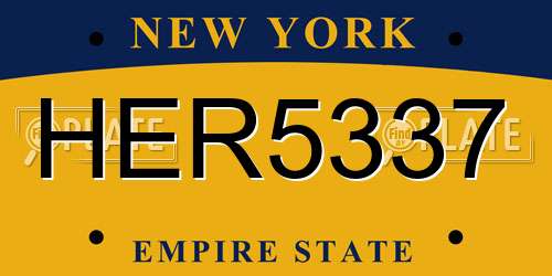 HER5337 New York License Plate