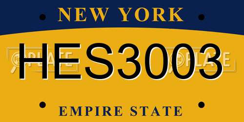 HES3003 New York License Plate