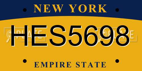 HES5698 New York License Plate