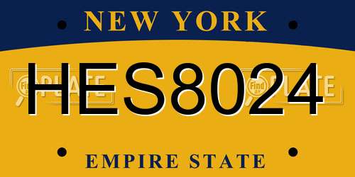 HES8024 New York License Plate