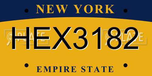 HEX3182 New York License Plate