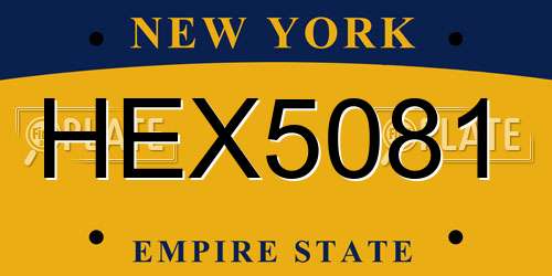 HEX5081 New York License Plate
