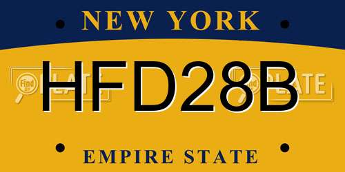 HFD28B New York License Plate