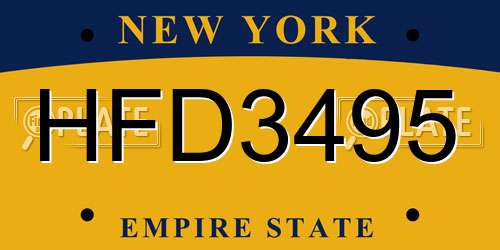 HFD3495 New York License Plate