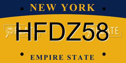 HFDZ58 New York License Plate