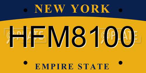 HFM8100 New York License Plate