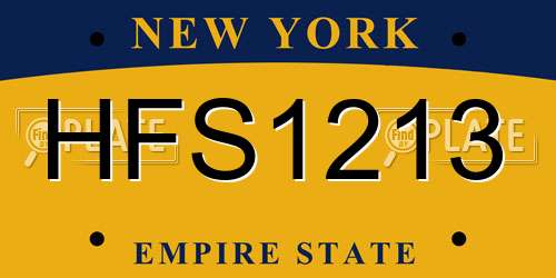 HFS1213 New York License Plate