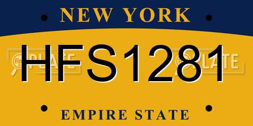 HFS1281 New York License Plate