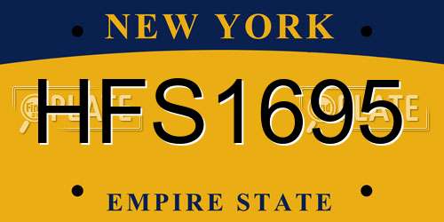 HFS1695 New York License Plate