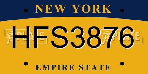 HFS3876 New York License Plate