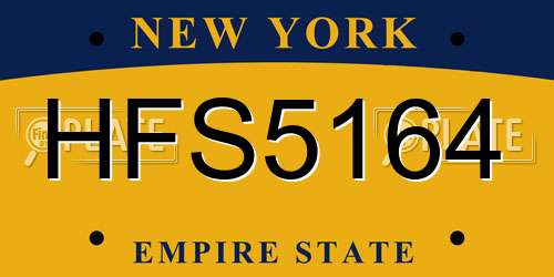 HFS5164 New York License Plate