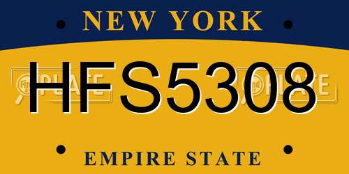 HFS5308 New York License Plate