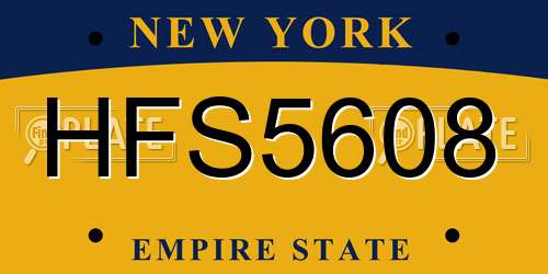 HFS5608 New York License Plate