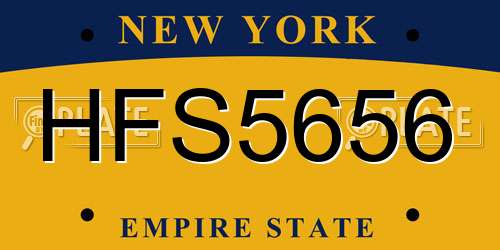 HFS5656 New York License Plate