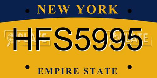 HFS5995 New York License Plate