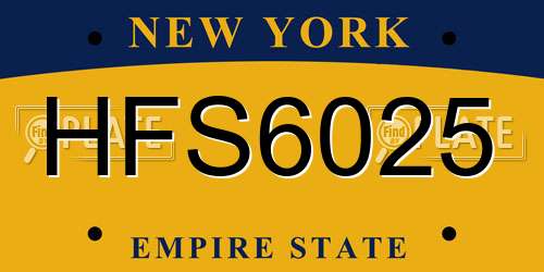 HFS6025 New York License Plate