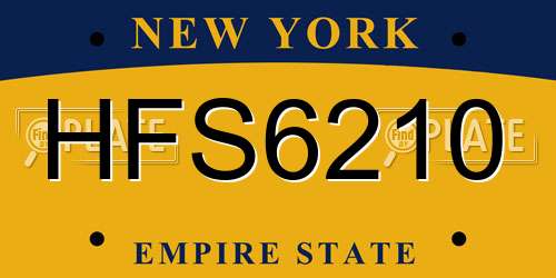 HFS6210 New York License Plate
